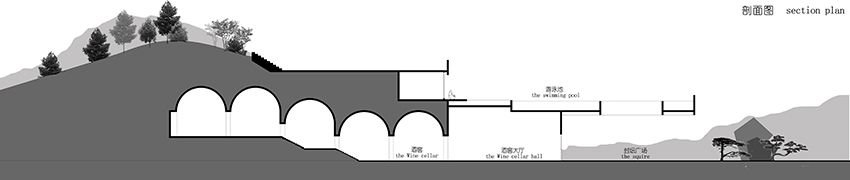 秦池﹒蓝莓酒庄